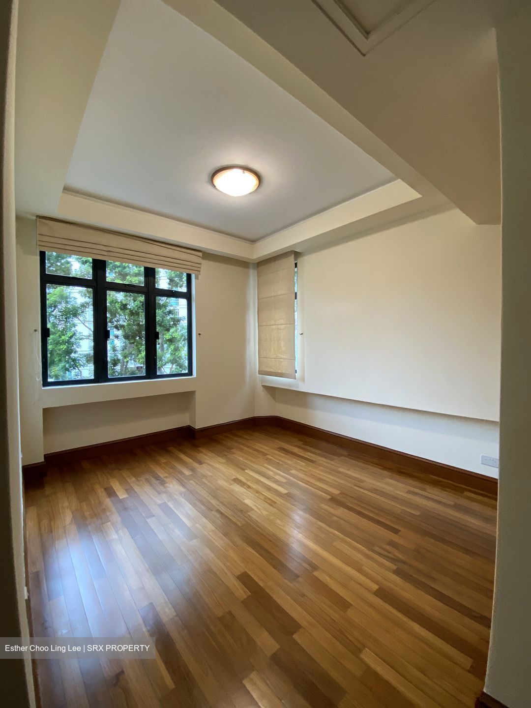 Valley Park (D10), Condominium #550627051
